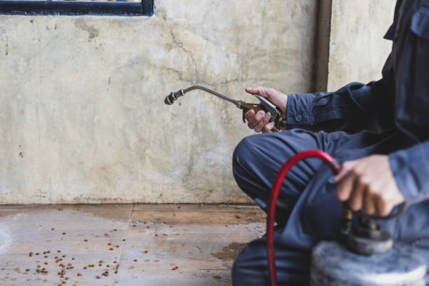 Best Pest Control for Homes  in Olympia, WA